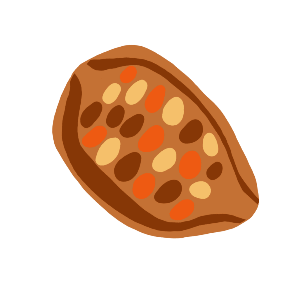 cacao